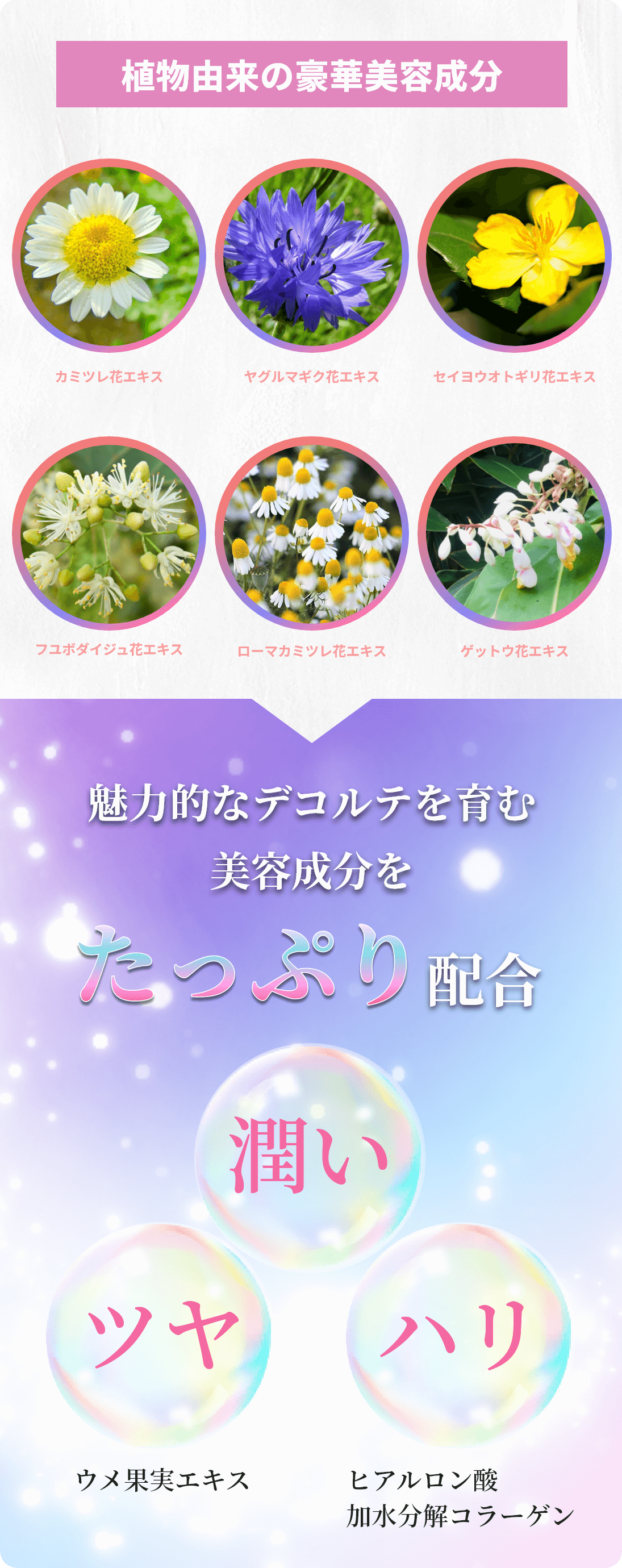 魅力的なデコルテを含む美容成分をたっぷり配合